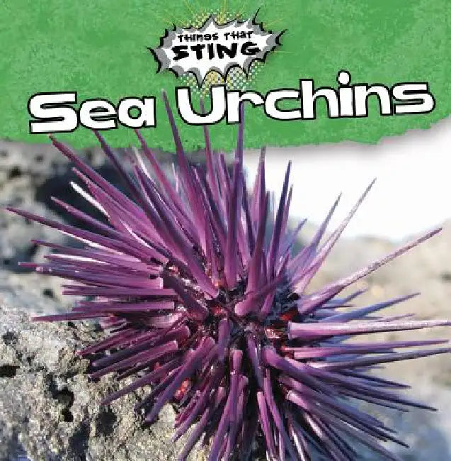 Sea Urchins by Michael Rajczak