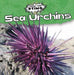 Sea Urchins by Michael Rajczak