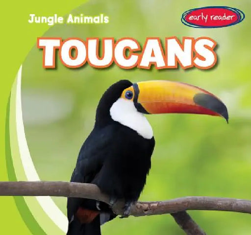 Toucans by Rob Ryndak