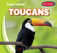 Toucans by Rob Ryndak