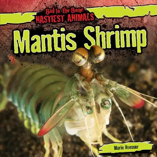 Mantis Shrimp by Marie Roesser