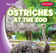 Ostriches at the Zoo by Finn Ward
