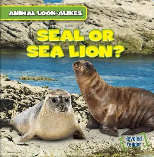 Seal or Sea Lion? by Rob Ryndak