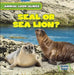Seal or Sea Lion? by Rob Ryndak