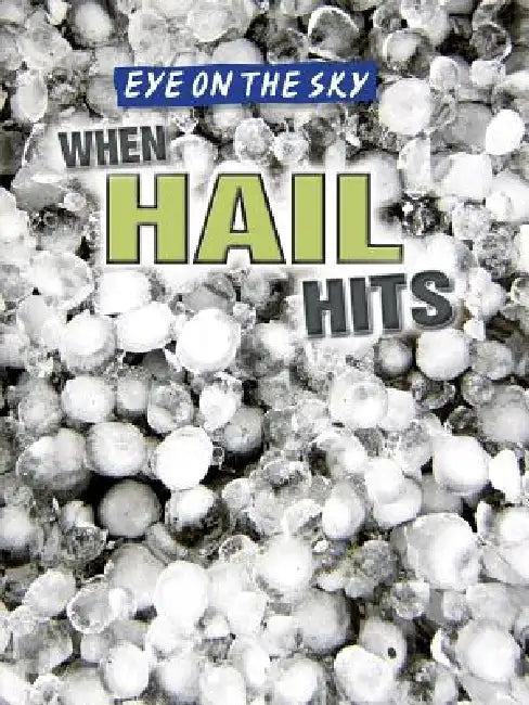 When Hail Hits by Christine Honders