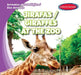 Jirafas / Giraffes at the Zoo by Finn Ward