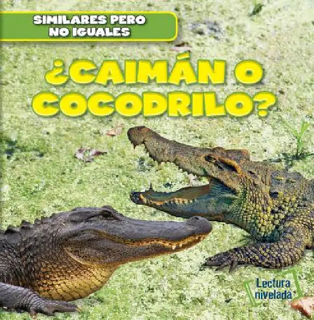 ¿Caimán O Cocodrilo? (Alligator or Crocodile?) by Rob Ryndak