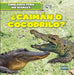¿Caimán O Cocodrilo? (Alligator or Crocodile?) by Rob Ryndak