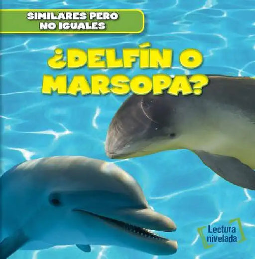 ¿Delfín O Marsopa? (Dolphin or Porpoise?) by Rob Ryndak