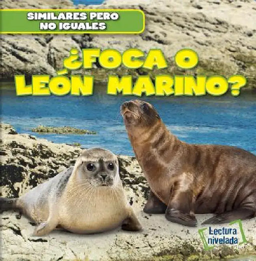 ¿Foca O León Marino? (Seal or Sea Lion?) by Rob Ryndak