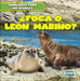 ¿Foca O León Marino? (Seal or Sea Lion?) by Rob Ryndak