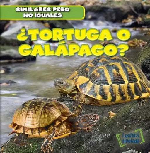 ¿Tortuga O Galápago? (Turtle or Tortoise?) by Rob Ryndak