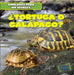 ¿Tortuga O Galápago? (Turtle or Tortoise?) by Rob Ryndak