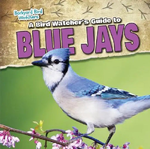 A Bird Watcher's Guide to Blue Jays by Katherine Ponka