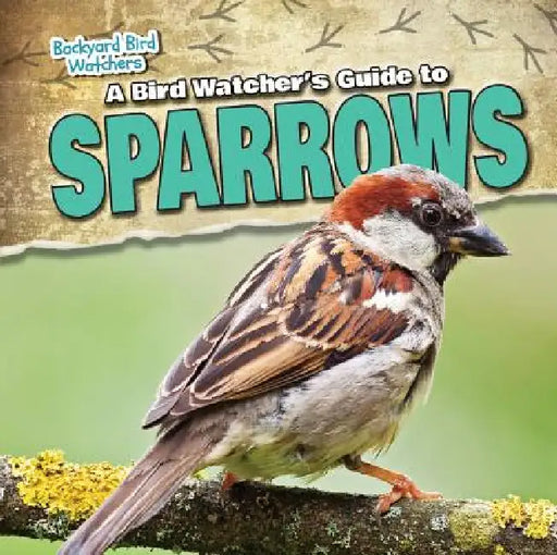 A Bird Watcher's Guide to Sparrows by Grace Vail