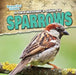 A Bird Watcher's Guide to Sparrows by Grace Vail