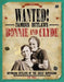 Bonnie and Clyde: Notorious Outlaws of the Great Depression by Tim Cooke