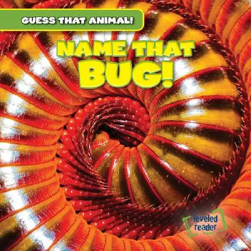 Name That Bug! by Demi Jackson