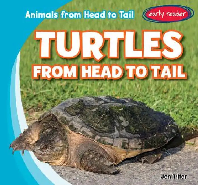 Turtles from Head to Tail by Jen Trifer