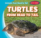 Turtles from Head to Tail by Jen Trifer