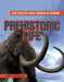 Prehistoric Life by Rupert Matthews