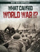 What Caused World War I? by Robyn Hardyman