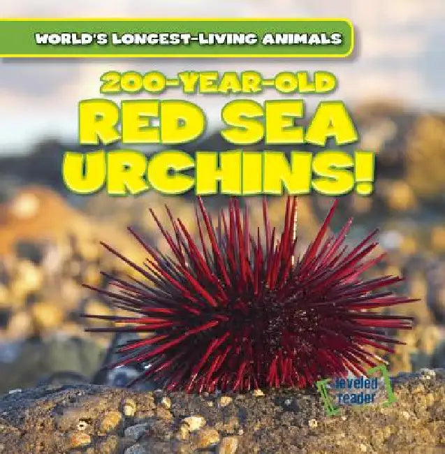 200-Year-Old Red Sea Urchins! by Topper Evans