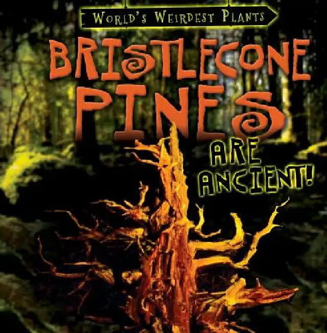 Bristlecone Pines Are Ancient! by Patricia Fletcher