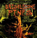Bristlecone Pines Are Ancient! by Patricia Fletcher