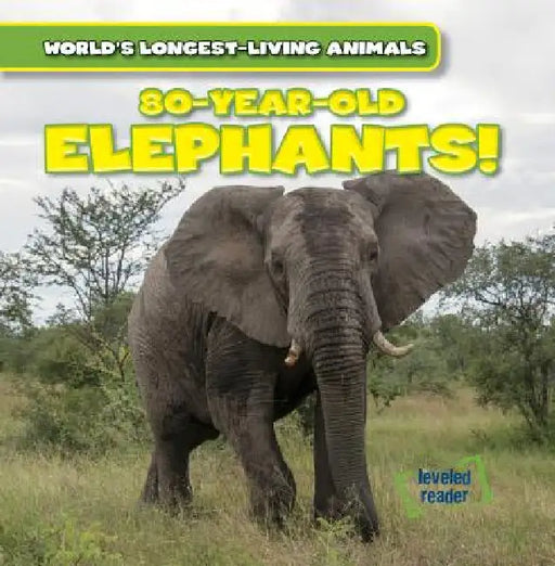 80-Year-Old Elephants! by Leonard Atlantic