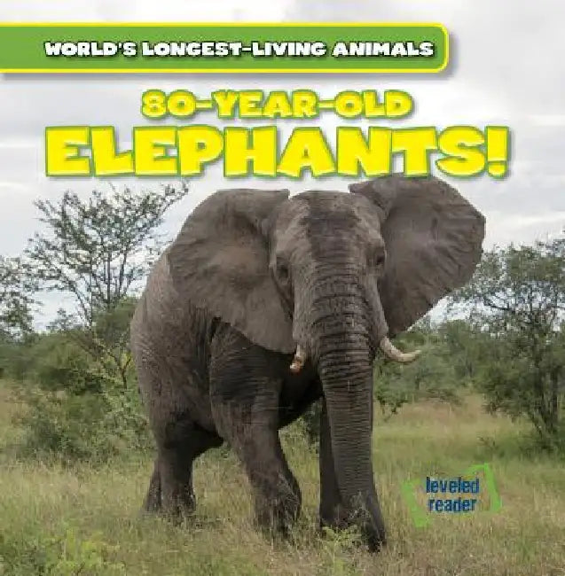 80-Year-Old Elephants! by Leonard Atlantic