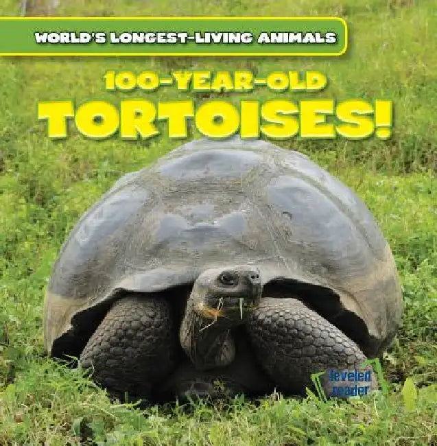 100-Year-Old Tortoises by Topper Evans