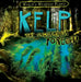 Kelp: The Underwater Forest! by Patricia Fletcher