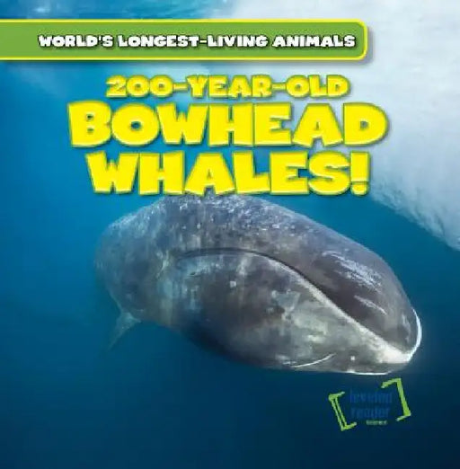 200-Year-Old Bowhead Whales! by Leonard Atlantic
