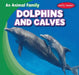 Dolphins and Calves by Mike Rodrigo-Gomez