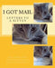 I Got Mail: Letters to a Kitten by Wanda Winters-Gutierrez