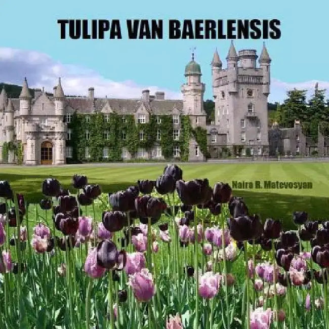 Tulipa van Baerlensis by Naira R. Matevosyan