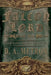 Falcon Lord: The Lost Isle of Perpetua: A Steampunk Fantasy Novel by D. a. Metrov