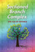 Sectioned Branch Complex: The Ills of Divorce by Kate Okundaye