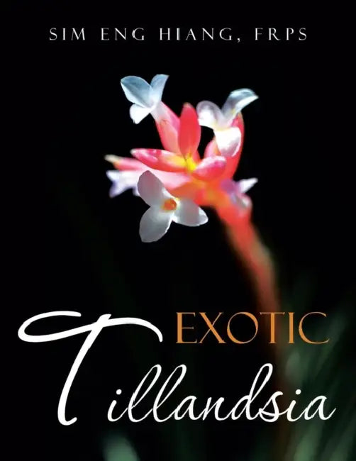 Exotic Tillandsia by Eng Hiang Frps Sim