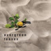 Evergreen Leaves: Recollections of My Journeys into Wild India by Gangadharan Menon