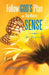 Follow God's Plan and Stop Making Sense: Be Yourself by Lawrence Kinny