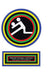 Volleyball: Techniques and Tactics by Toni Faouzi Tahtouh (Ph D)