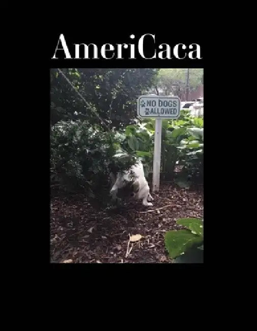Americaca by John Paparazzi