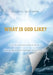 What Is God Like? by Ralph H. Matthews