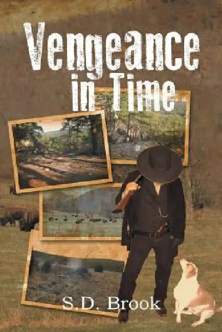 Vengeance in Time by S. D. Brook