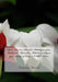 Rich Forever: Paroles Mélodiques par Tadaram Maradas: Mélodies poétiques par secteur & Verse (c) CIRCA 2013 by Maradas, Tadaram