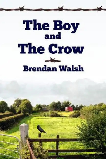 The Boy and the Crow by Brendan Walsh