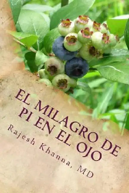 Puedo Ver De Nuevo by Khanna, Rajesh