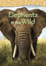 Elephants in the Wild by Claire Robinson